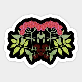 elderberry Sticker